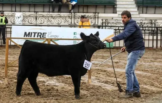 La cabaña de la FCA debutó con un premio en Palermo
