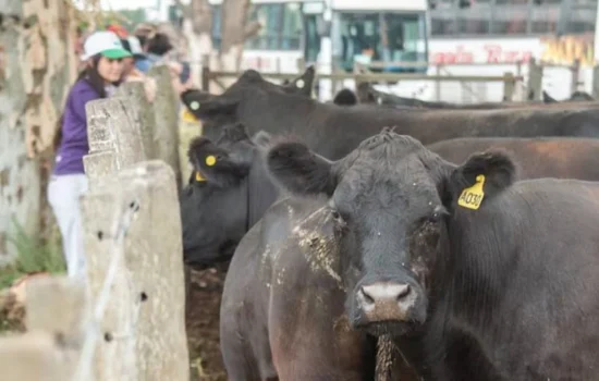 Historico la FCA hara su debut en la Rural de Palermo
